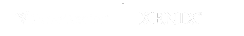 MarketVector™ XENIX<sup>&reg</sup> Global Dynamic Dividends 500 Index